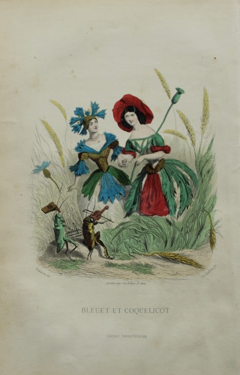 JJ Grandville - Lithograph of Les Fleurs Animees 1846: This charming lithographic print is from Les Fleurs Animees by Jean Jacques Grandville published in 1846. Grandville (pseudonym for Jean Ignace Isador Gerard 1803-1847) worked as an illustrator, paint