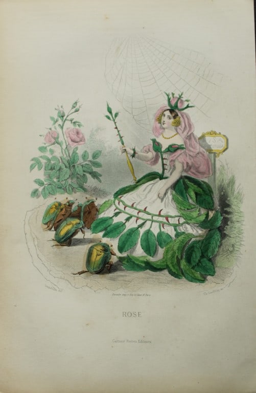 JJ Grandville - Lithograph of Les Fleurs Animees 1846: This charming lithographic print is from Les Fleurs Animees by Jean Jacques Grandville published in 1846. Grandville (pseudonym for Jean Ignace Isador Gerard 1803-1847) worked as an illustrator, paint