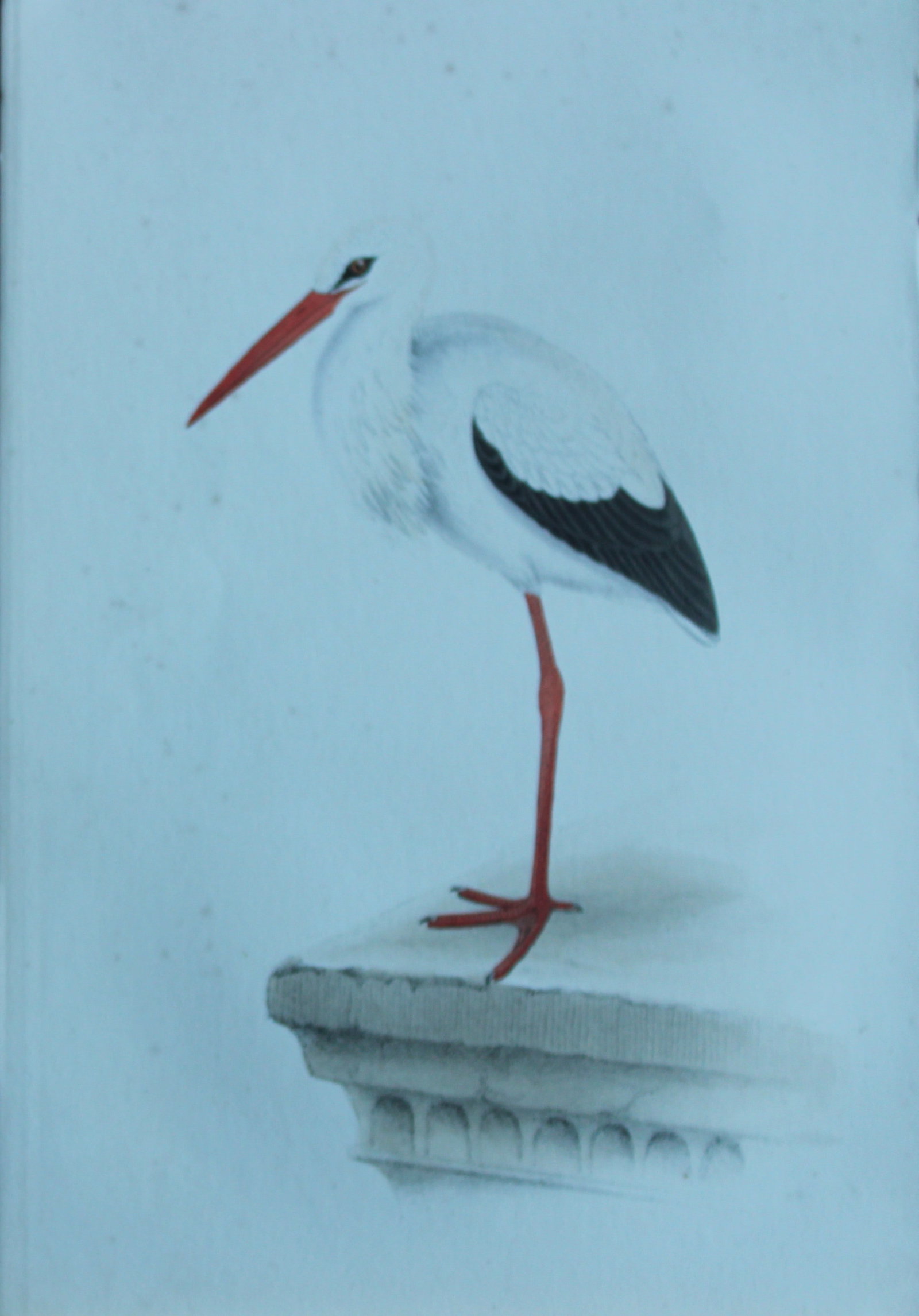 HL Meyer - Chromolithograph of Stork 1857: This engraving is by Henry Leonard Meyer from Illustrations of British Birds and Their Eggs, published by Willis and Sotheran, London 1857. Meyer specialised in ornithological subjects and was assiste