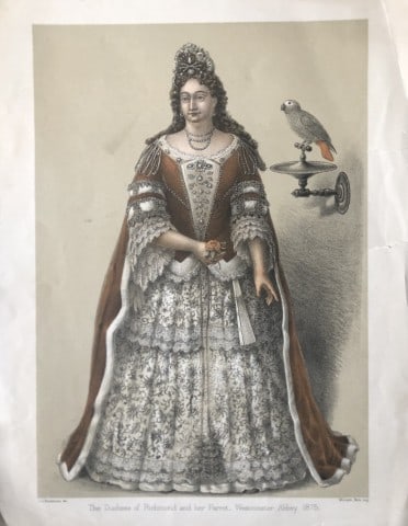 GD Rowley - Duchess of Richmond by JG Keulemans 1877 (1 of 1)