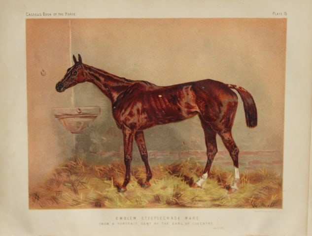 Cassell's Book of Horses - Emblem 1880 (1 of 1)
