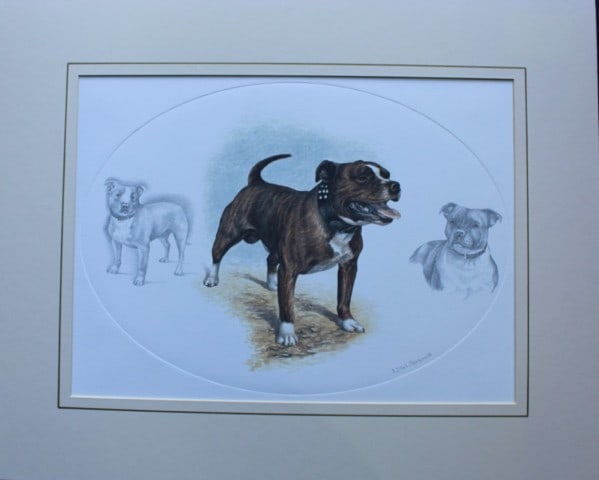 Nigel Hemming - Lithograph of a Staffordshire Bull Terrier 1988: Staffordshire Bull Terrier - this limited edition offset lithograph, presented in a mount ready for framing, is by Nigel Hemming and signed in pencil by the artist. Published by Washington Green Publi