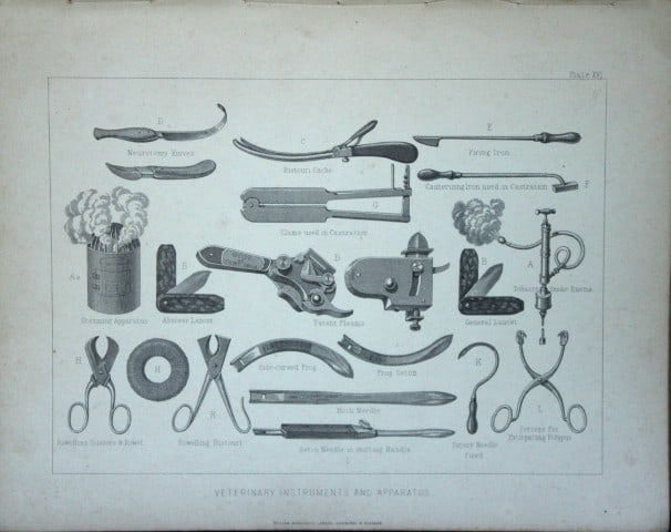 Benjamin Herring - Lithograph of Veterinary Instruments 1895 (1 of 1)