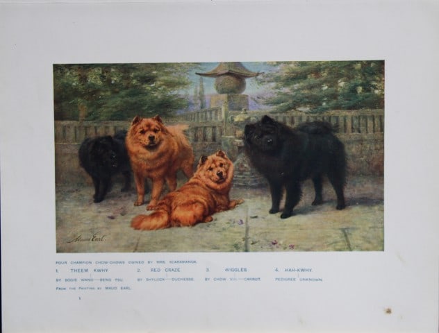 Chromolithograph of Chows after Maud Earl 1907: This chromolithograph is from The New Book of the Dog by Robert Leighton, published by Cassell and Company, London 1907. A beautifully illustrated work on dogs by Robert Leighton, a Scottish writer wh