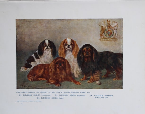Chromolithograph of King Charles Spaniels after Frances Fairman 1907: This chromolithograph is from The New Book of the Dog by Robert Leighton, published by Cassell and Company, London 1907. A beautifully illustrated work on dogs by Robert Leighton, a Scottish writer wh