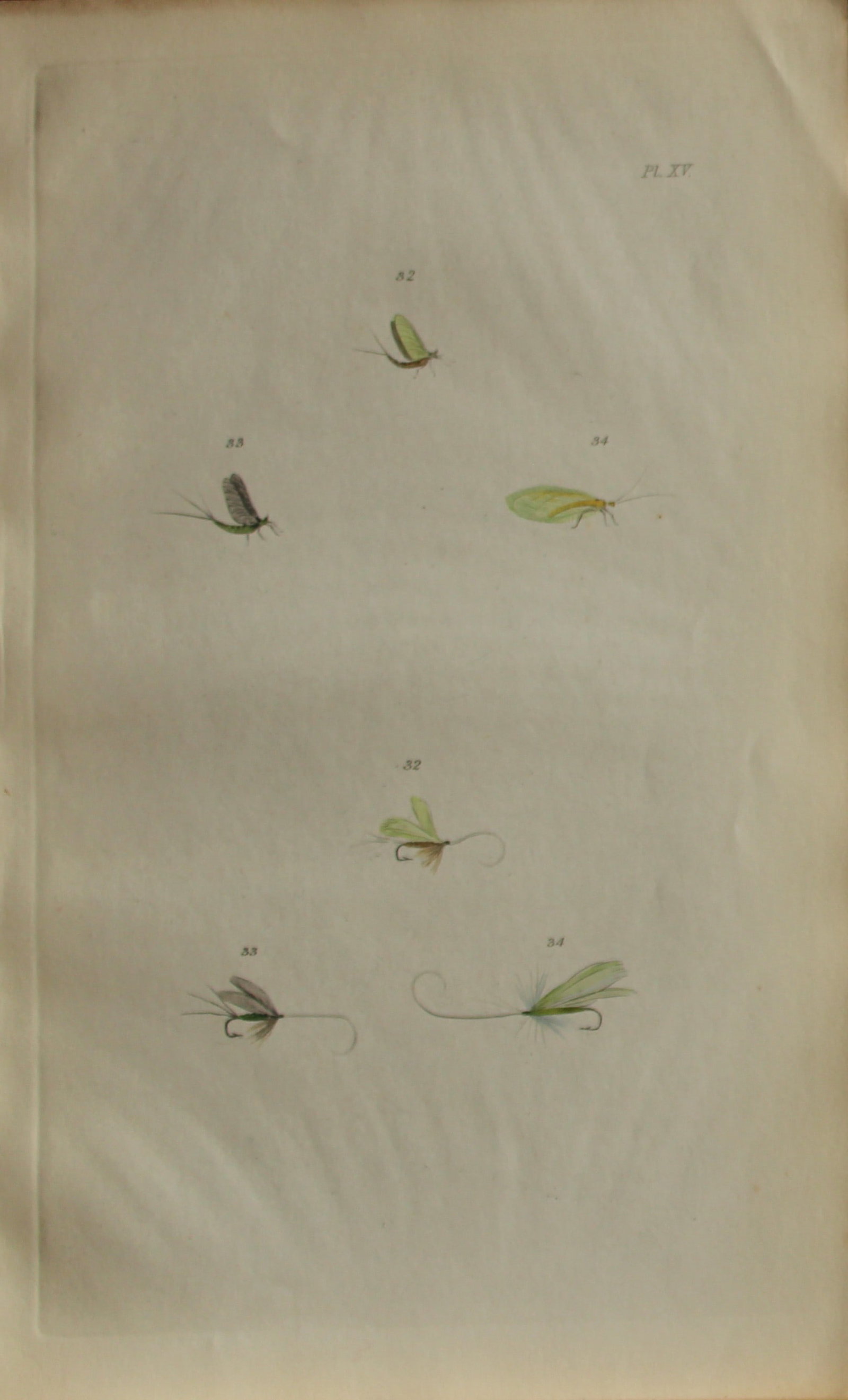 Alfred Ronald - Fly fishing engraving 1868: This hand-coloured engraving is from The Fly-Fisher?s Entomology by Alfred Ronald published in London by Longman, Green, Longman, & Roberts, 1868.The Fly-Fisher's Entomology, first published in 1836, 