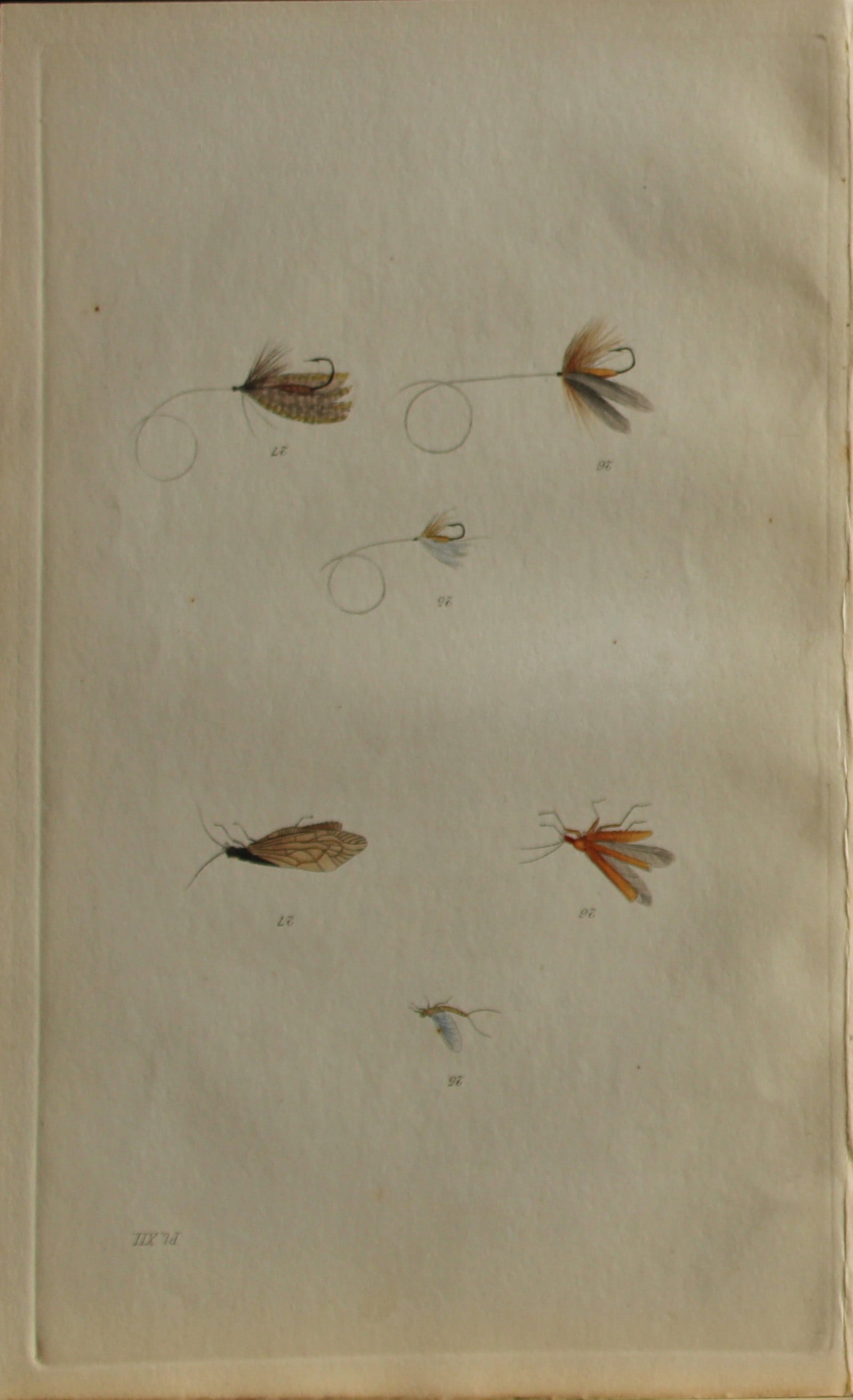 Alfred Ronald - Fly fishing engraving 1868: This hand-coloured engraving is from The Fly-Fisher?s Entomology by Alfred Ronald published in London by Longman, Green, Longman, & Roberts, 1868.The Fly-Fisher's Entomology, first published in 1836, 