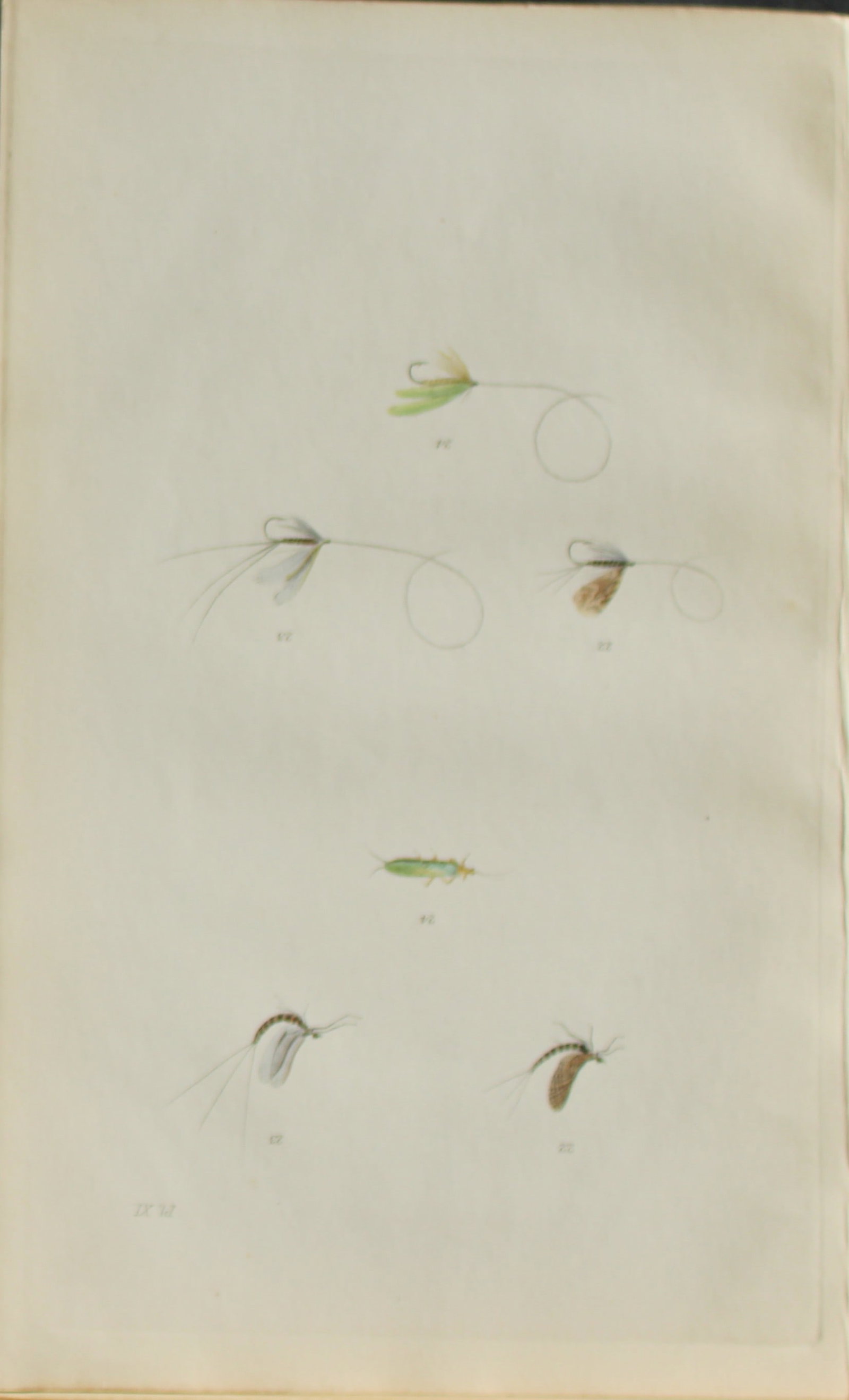Alfred Ronald - Fly fishing engraving 1868: This hand-coloured engraving is from The Fly-Fisher?s Entomology by Alfred Ronald published in London by Longman, Green, Longman, & Roberts, 1868.The Fly-Fisher's Entomology, first published in 1836, 