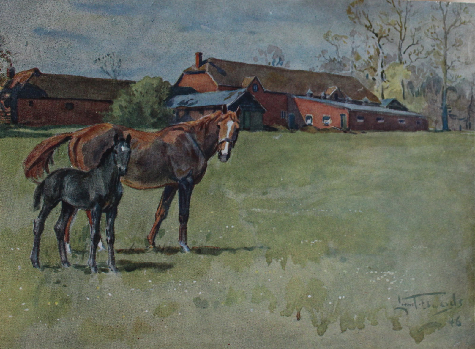 Lionel Edwards - Print from Black Beauty 1946: Lionel Edwards - Print from Black Beauty 1946