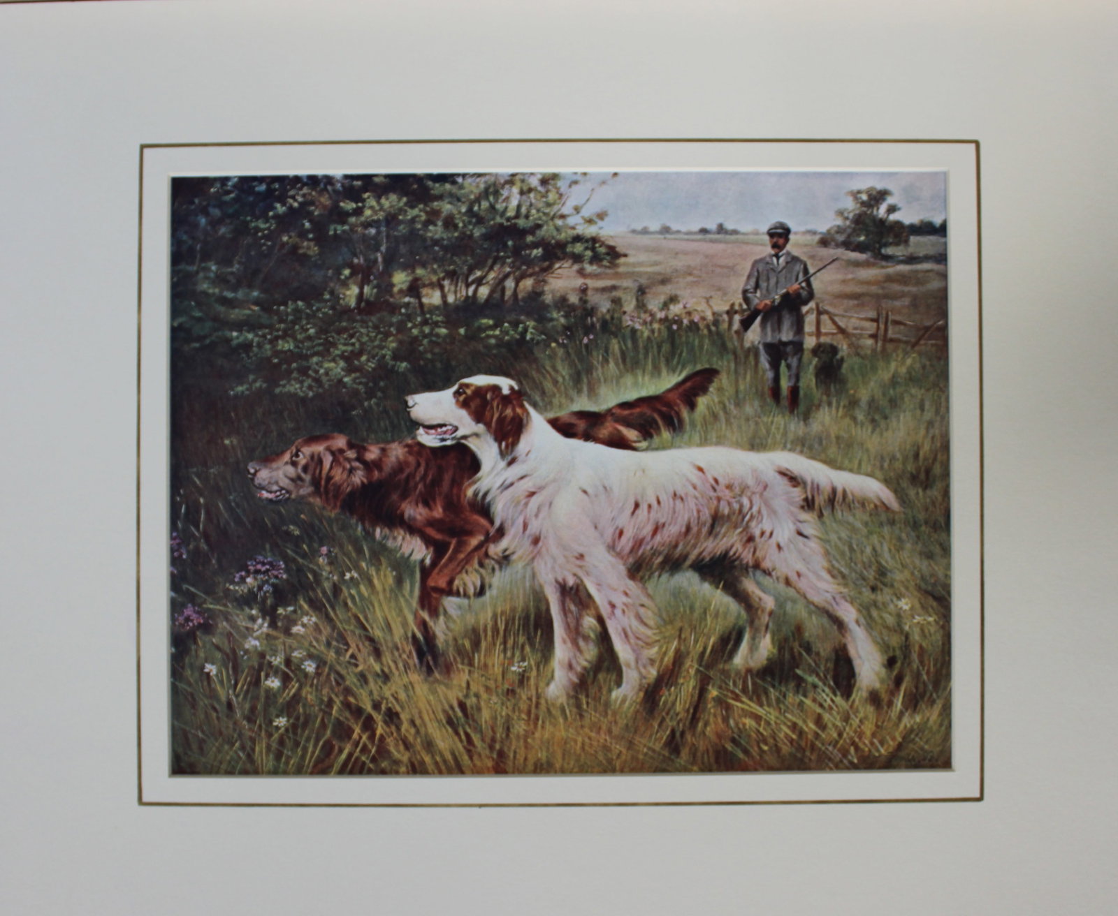 T Blinks - Gently Shot 1902: T Blinks - Gently Shot 1902