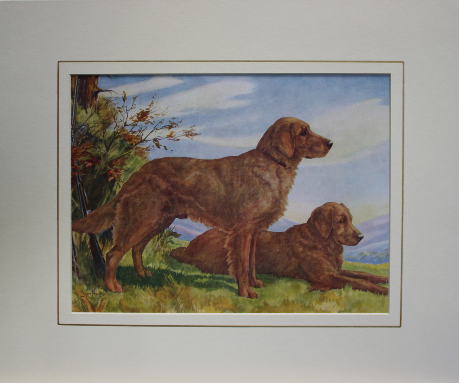 Nina Scott-Langley - Golden Retrievers 1934: Nina Scott-Langley - Golden Retrievers 1934