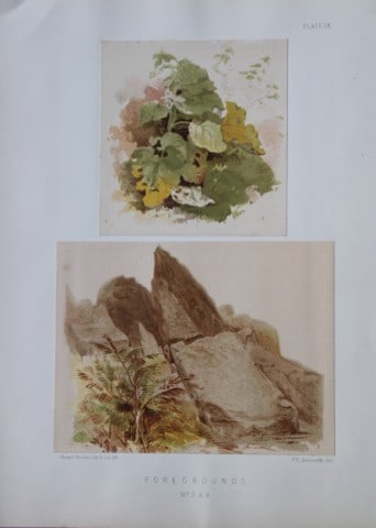 PH Delamotte - Chromolithograph of Foregrounds 1888 (1 of 2)