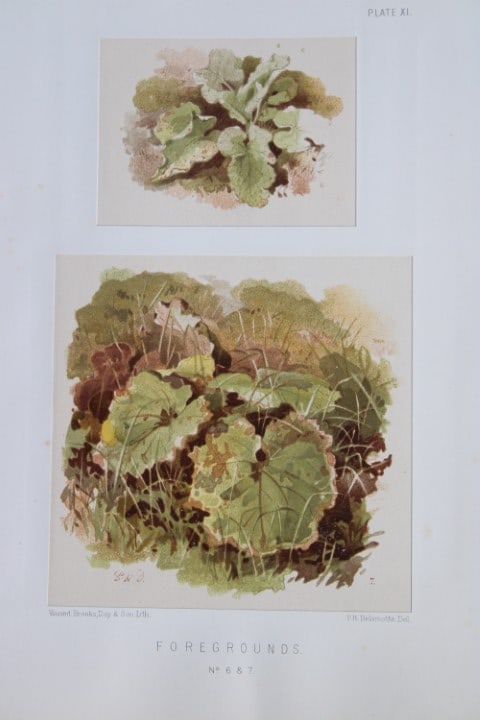 PH Delamotte - Chromolithograph of Foregrounds 1888 (1 of 2)