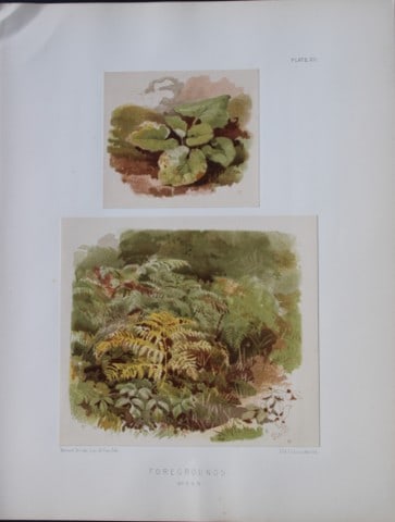 PH Delamotte - Chromolithograph of Foregrounds 1888 (1 of 2)