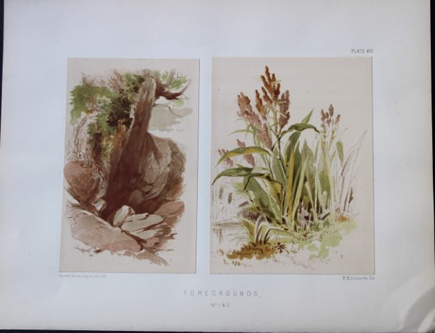 PH Delamotte - Chromolithograph of Foregrounds 1888 (1 of 2)