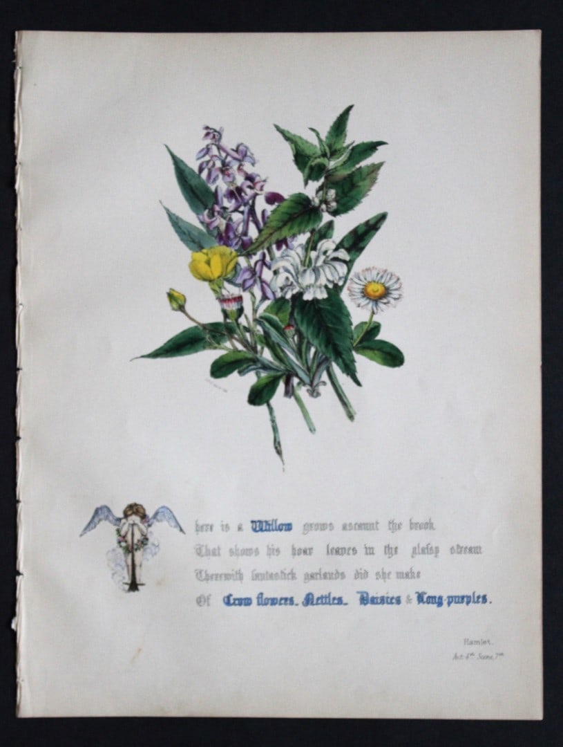 Jane E Giraud - Original lithograph from Flowers of Shakespeare 1845: This original hand-coloured floral print is from The Flowers of Shakespeare by Jane Elizabeth Giraud, Published privately, Faversham, 1845. The prints in this work are beautifully illustrated and are 