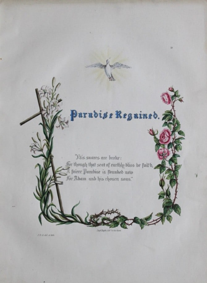 Jane E Giraud - Hand coloured print from Flowers of Milton 1846: This original hand-coloured floral print is from The Flowers of Milton by Jane Elizabeth Giraud, Published privately, Faversham, 1846. These prints are beautifully illustrated and are accompanied by a