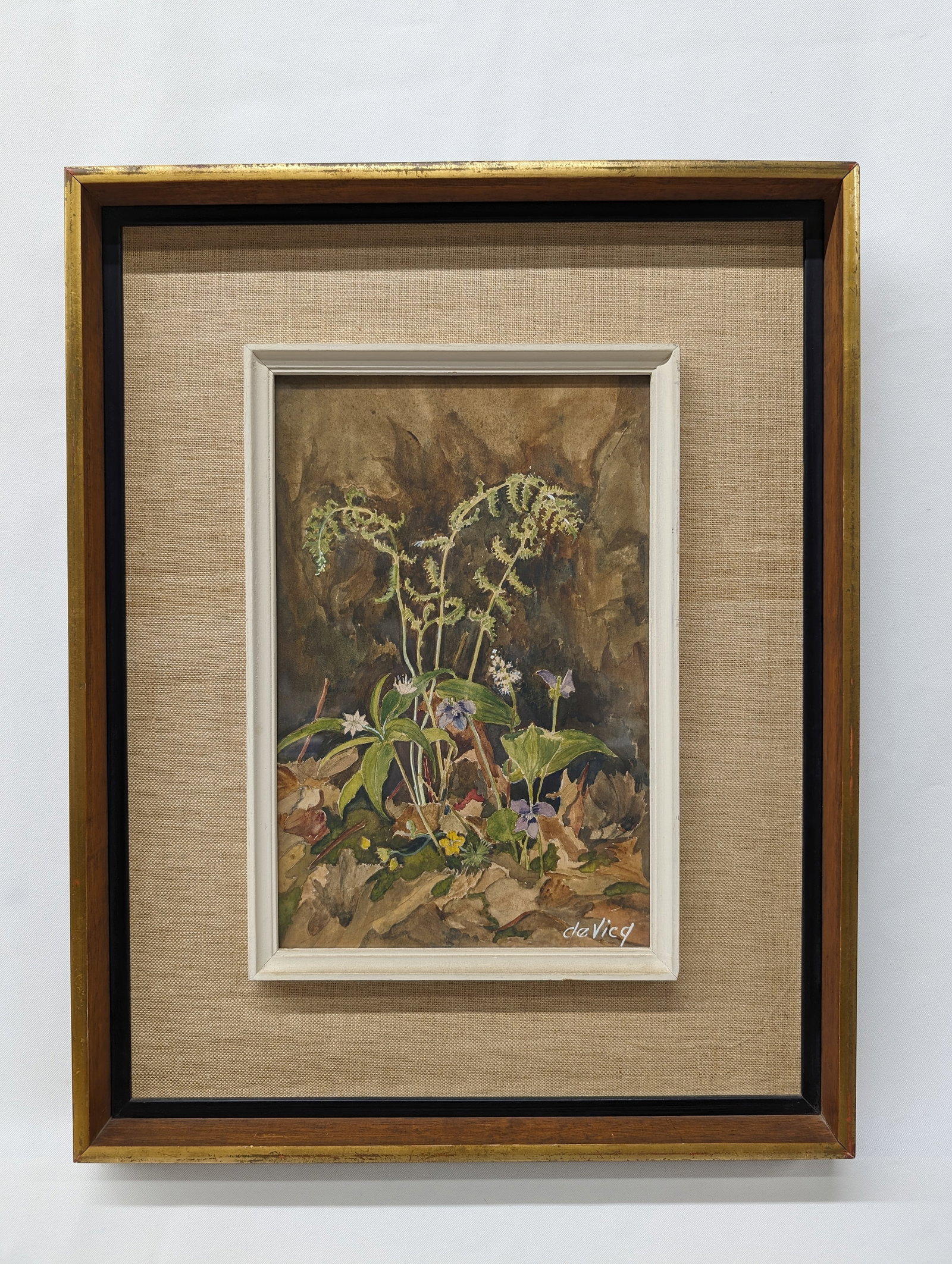 Elizabeth de Vicq Wildflower Watercolor, Rocky Neck, May 25th Byfield (1 of 6)