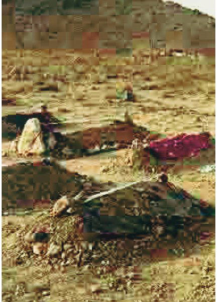 THOMAS RUFF: 1958JPEGS, 2006Stampa digitale ditone su carta fotografica, cm. 110x78 su carta cm. 120x90. Firma e numero esemplare 5/45 a matita sul retro