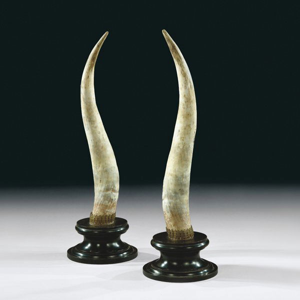 COPPIA DI CORNA (1 of 1)