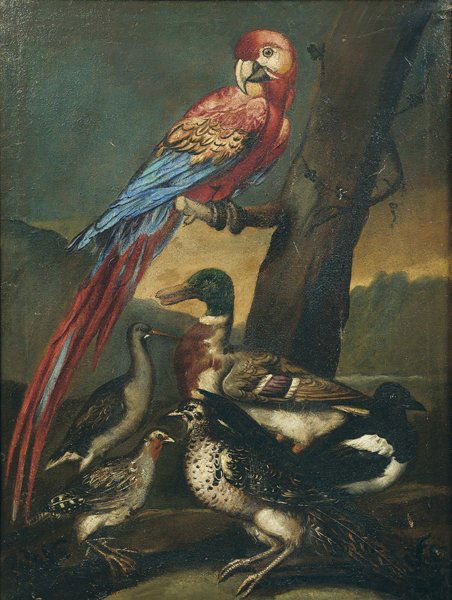 PITTORE DELLA CERCHIA DI ANGELO MARIA CRIVELLI det: Prima metà del XVIII secoloPernici, gazza, anatra, airone cinerino e pappagalloolio su tela, cm 72x95
