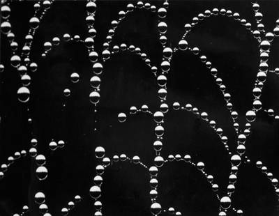 MARIO DE BIASI: 1923 RUGIADA, 1973 Stampa alla gelatina ai sali d'argento, cm 38x29,5. Firma e data sull'immagine in basso al centro.