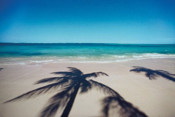 FRANCO FONTANA: 1933 LANDSCAPE, 1988 Stampa cibachrome, cm 32,5x48,5 su carta cm 40,5x50,5. Firma, data e numero esemplare "2/3" a penna sul retro.