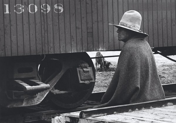 DENIS HOPPER