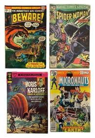 Vintage Comic Book Collection