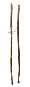 Walking Sticks