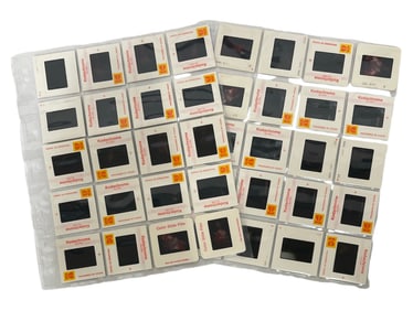 Vintage Erotic Adult Photo Slide Collection