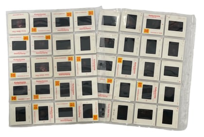 Vintage Erotic Adult Photo Slide Collection