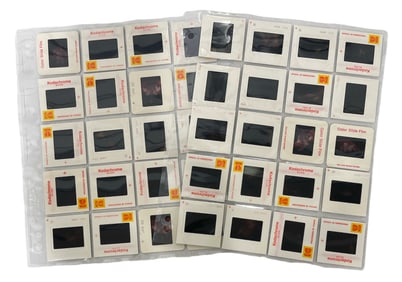 Vintage Erotic Adult Photo Slide Collection
