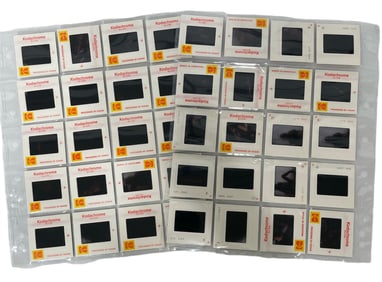 Vintage Erotic Adult Photo Slide Collection