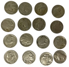 Buffalo Nickel Collection