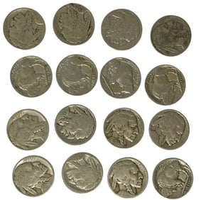 Buffalo Nickel Collection