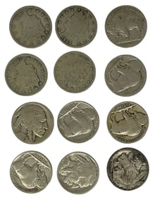 Buffalo Nickel Collection