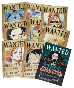 One Piece Poster Collection