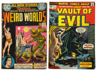 Vintage Marvel and DC Comic Book Collection