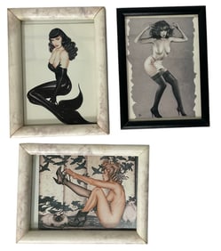 Erotic Adult Framed Card Collection