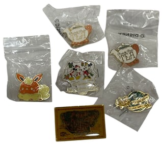 Disney and Pokemon Pin Collection