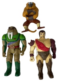 Collectors Action Figure Collection