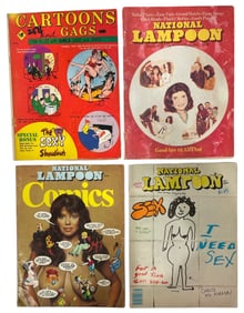 Adult Magazine and Comic Collection