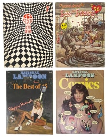 Adult Magazine and Comic Collection