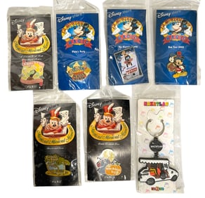 Disney Pins and Keychain Collection