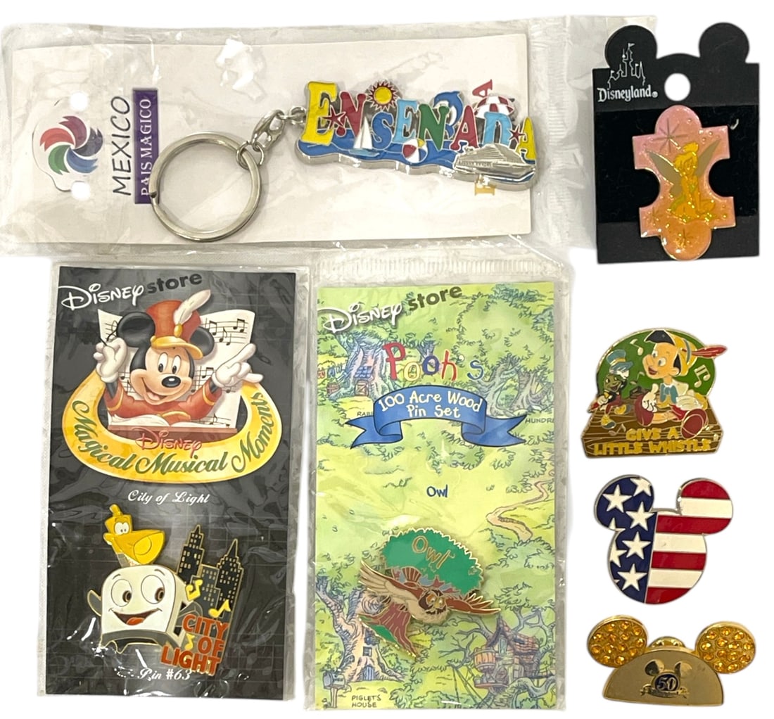 Disney Pins and Keychain Collection (1 of 1)