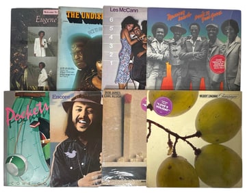 Vinyl Record Collection