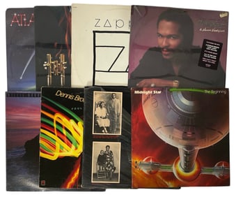 Vinyl Record Collection