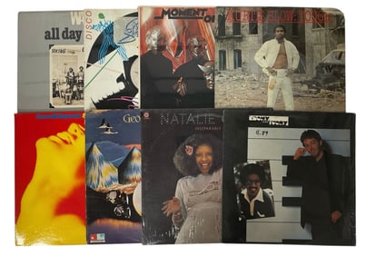 Vinyl Record Collection