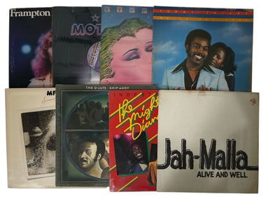 Vinyl Record Collection